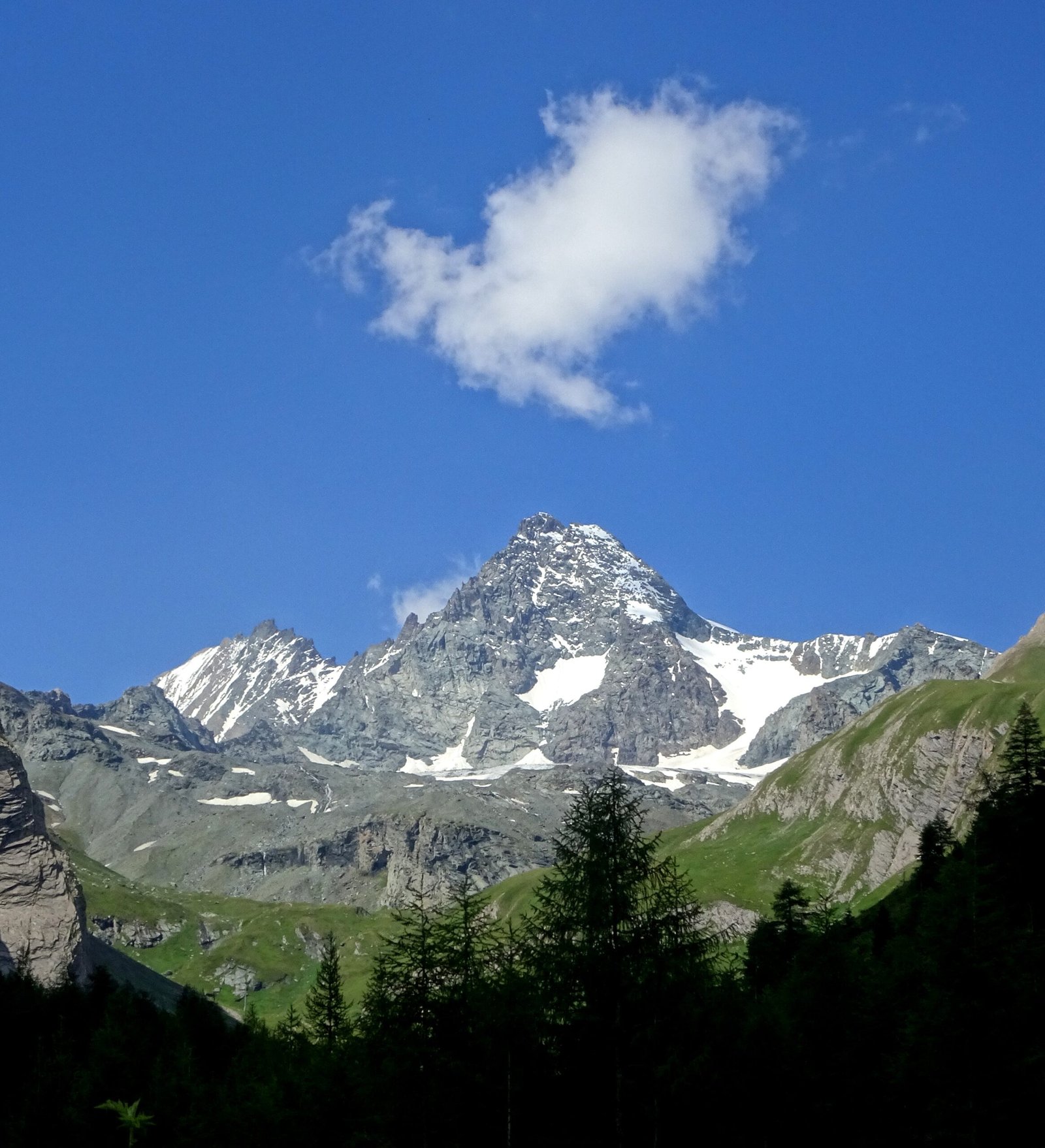 DSC03352 - Kopie